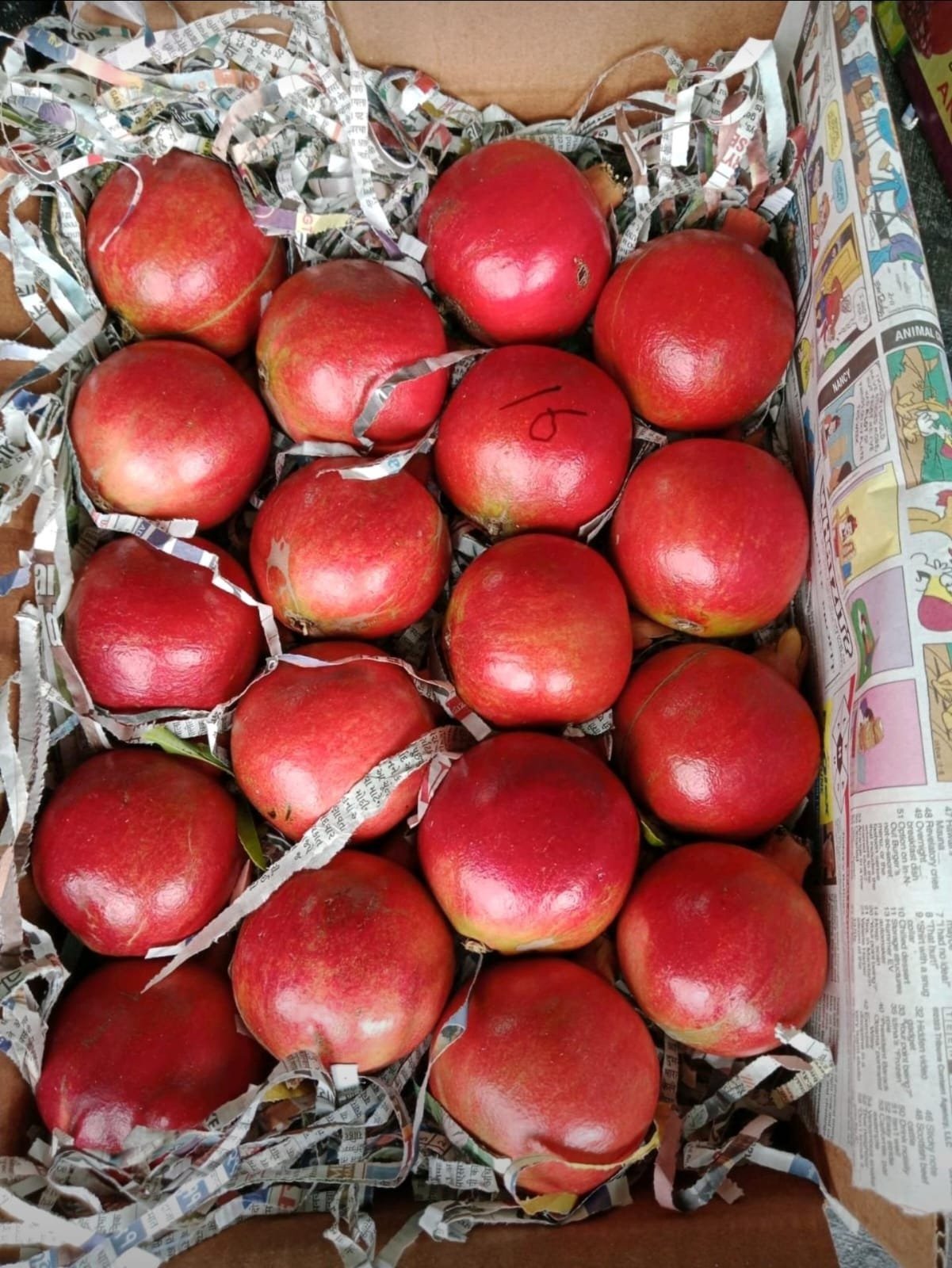 IMG-20250316-WA0015